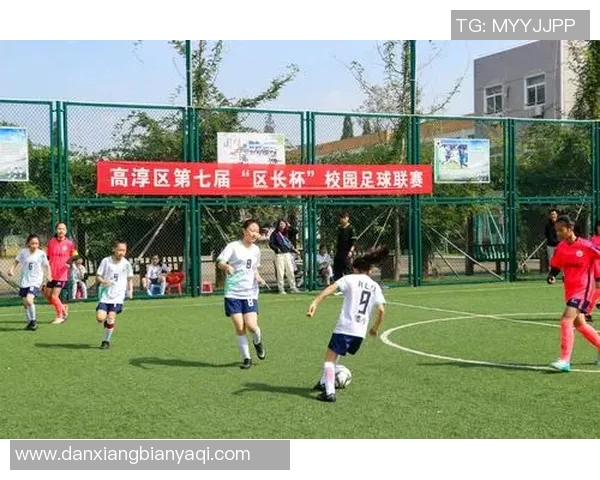足球联赛球队赛季表现与体能分布之间的关联性研究与分析